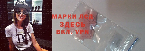 сатива Михайловск