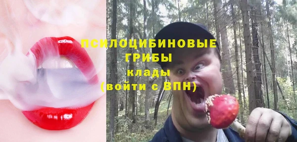 гидра Михайлов