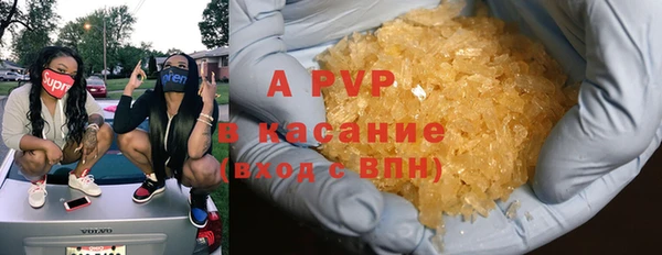 сатива Михайловск