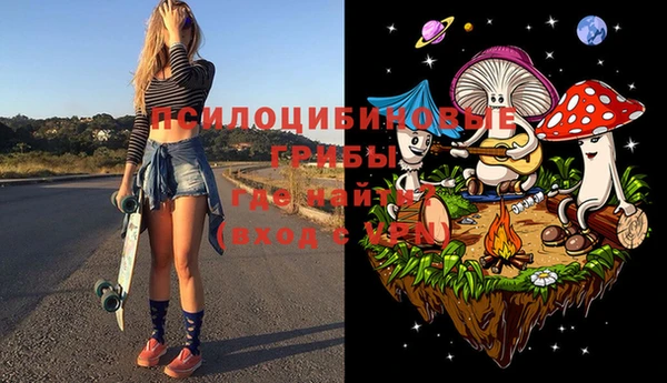 гидра Михайлов