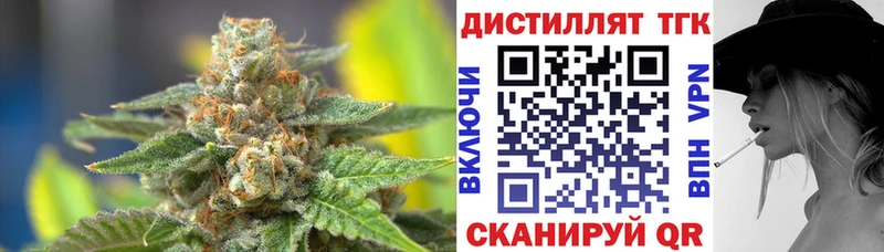 сколько стоит  Грозный  ТГК вейп 