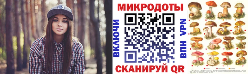 Псилоцибиновые грибы прущие грибы купить наркотики цена Грозный